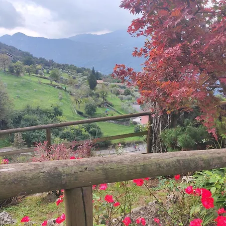 La Corte Del Viandante