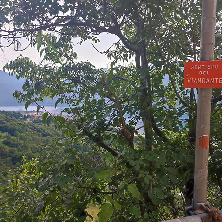 La Corte Del Viandante